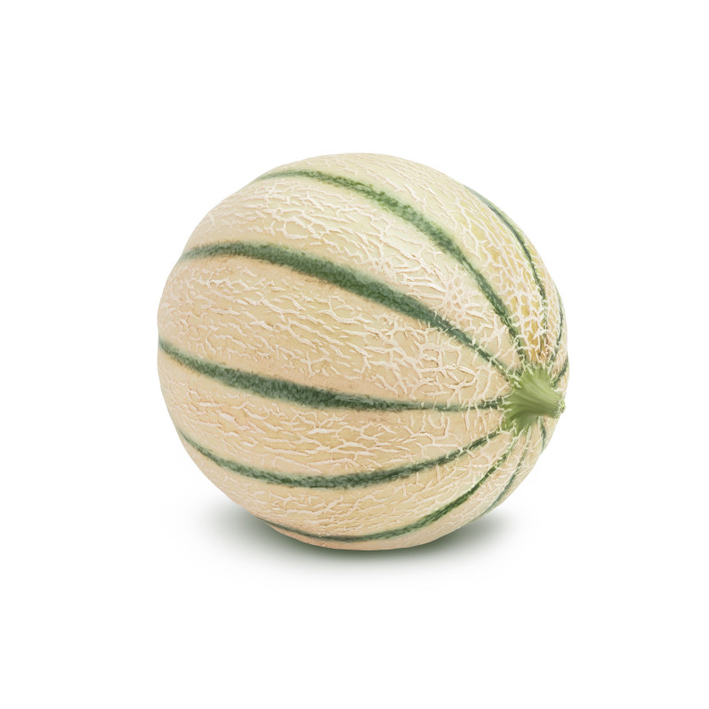 MELON CHARENTAIS VAL DE SERIGNY 12PCS